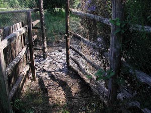 incendio lago di vico